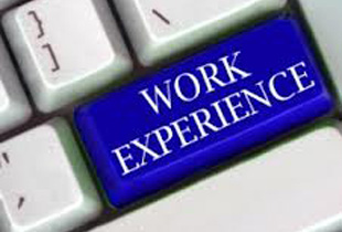 OKA Work Experience