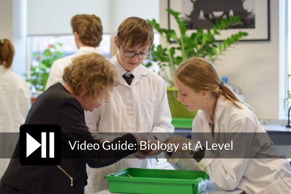 Biology Lesson at Kimbolton School