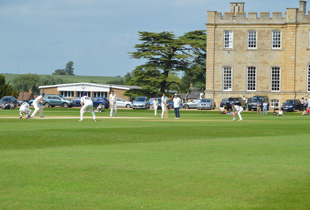 OKA Cricket